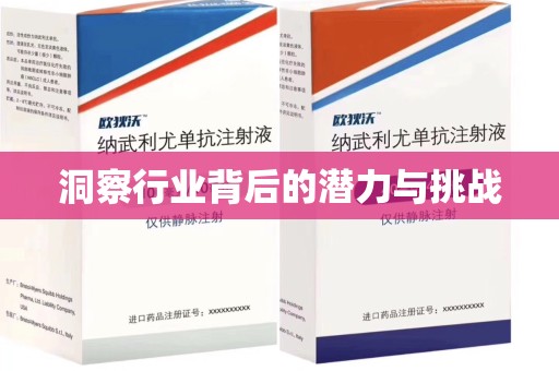 遵义洞察行业背后的潜力与挑战