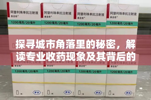 遵义探寻城市角落里的秘密，解读专业收药现象及其背后的故事