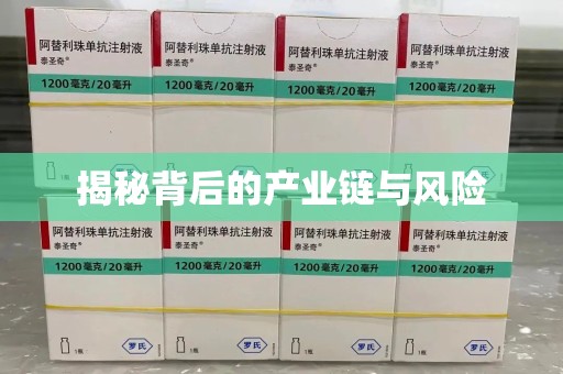遵义揭秘背后的产业链与风险